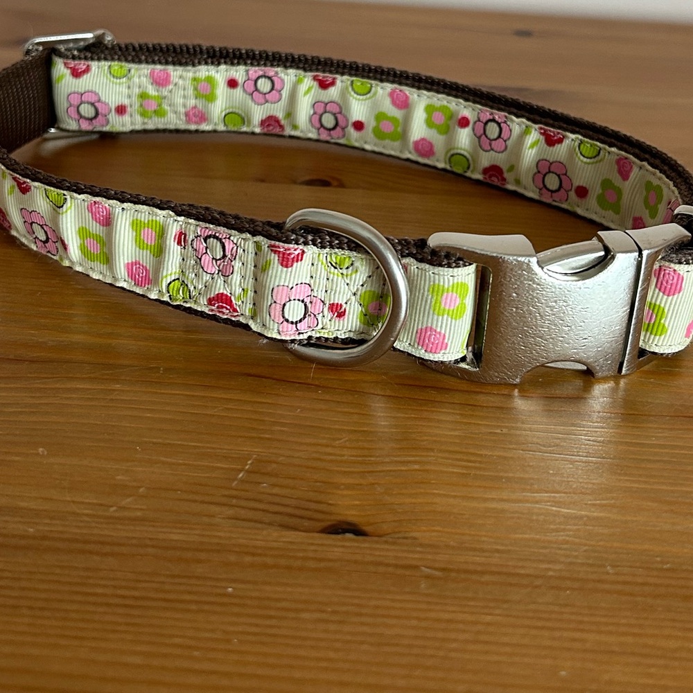 Dog 🐕 Collar